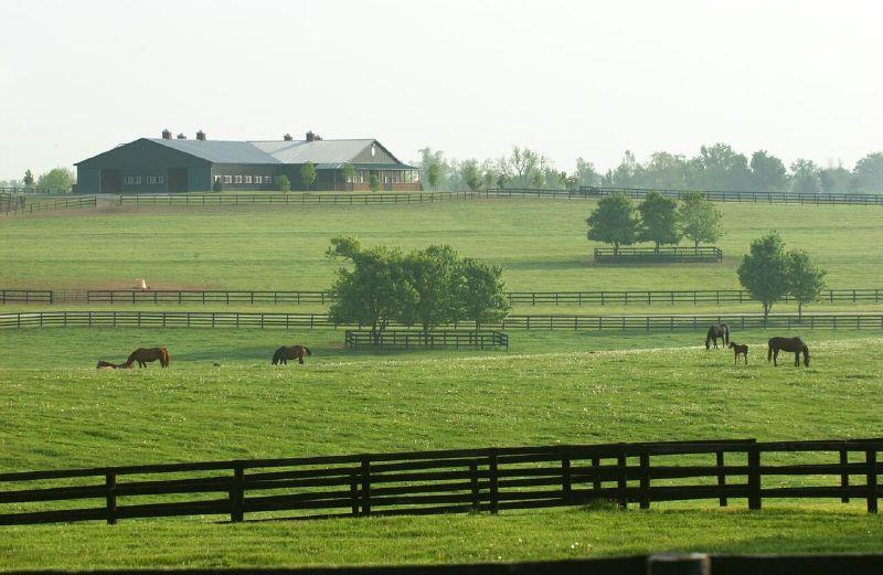 Hidden Brook Kentucky Boarding Hidden Brook Farm