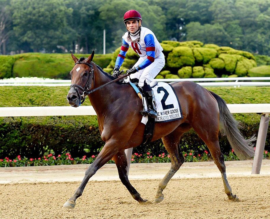 Unchained Melody - Grade 2 Winner of $275,900