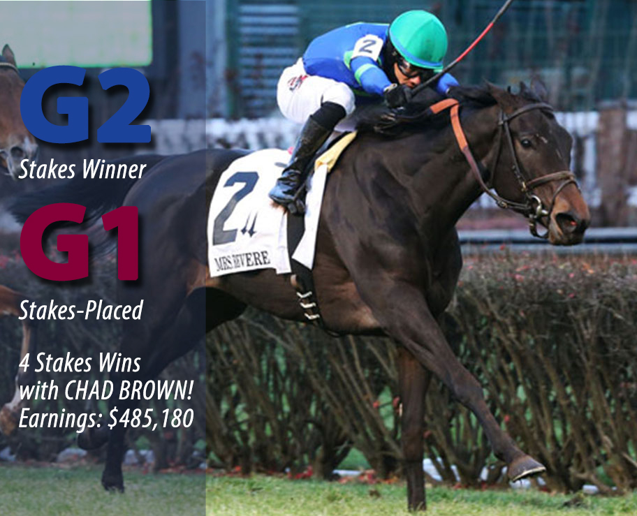 Nay Lady Nay - G2SW/G1SP earner of $485,180