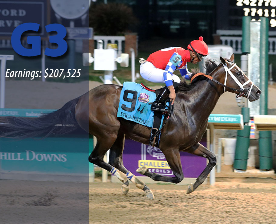HIDDEN CONNECTION - Unbeaten Grade 3 Winner of $207,525