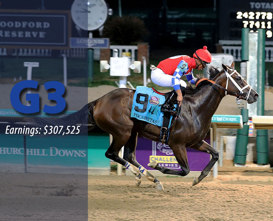 HIDDEN CONNECTION - G3 Winner & Breeders' Cup Competitor