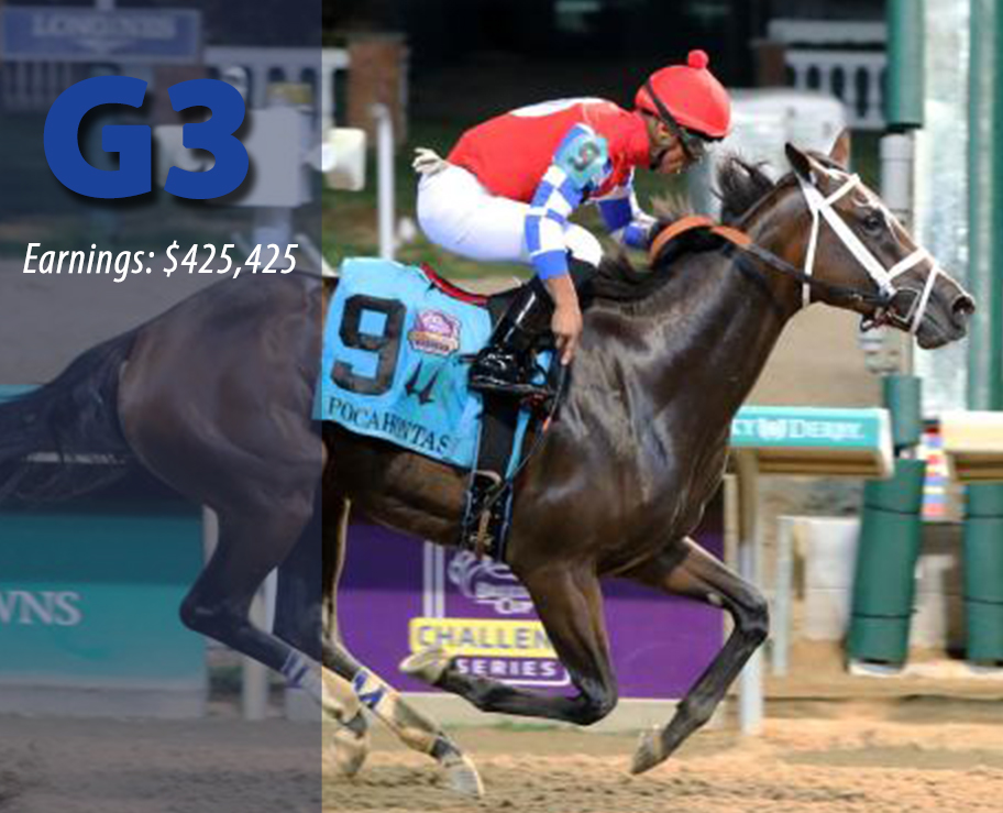 HIDDEN CONNECTION - Graded Stakes Winner of $425,425