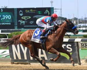 Hidden Brook Farm graduate Arabian Lion