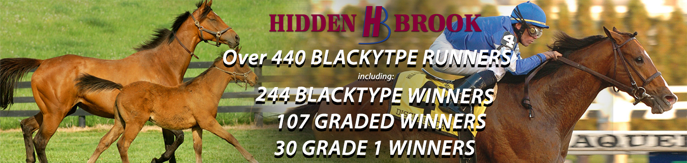 Hidden Brook Farm Blacktype Runners